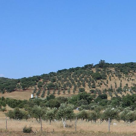 Girassol Alojamento Local Montemor-o-Novo Exteriér fotografie