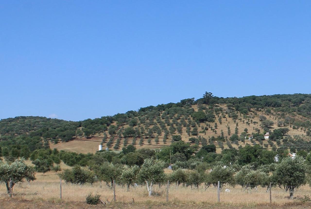 Girassol Alojamento Local Montemor-o-Novo Exteriér fotografie